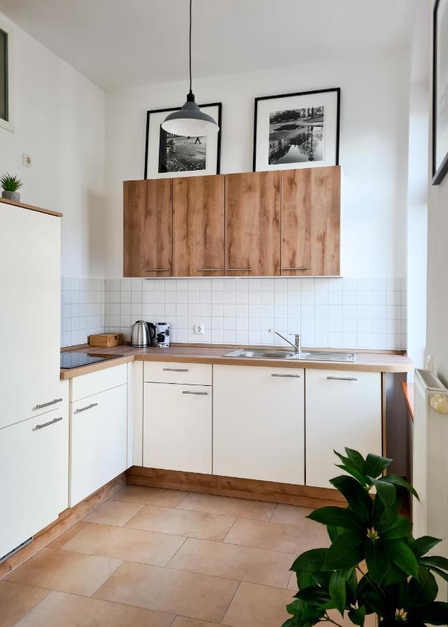 1-Raum-Wohnung Zentral Gelegen Dresden Exterior foto