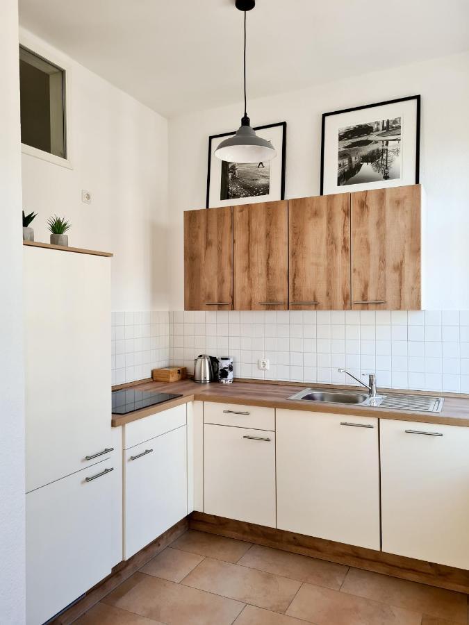 1-Raum-Wohnung Zentral Gelegen Dresden Exterior foto
